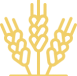ico_1_1